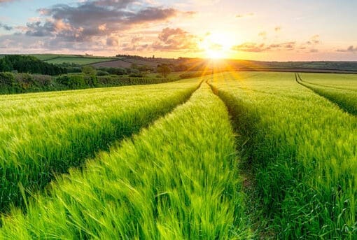 Carbon Neutral Certification for 2024